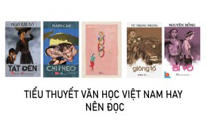 Tiểu thuyết văn học Việt Nam