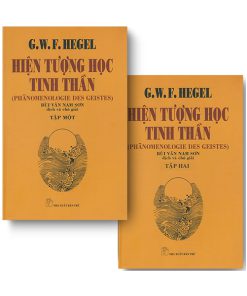 Hiện tượng học tinh thần