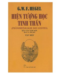 Hiện tượng học tinh thần